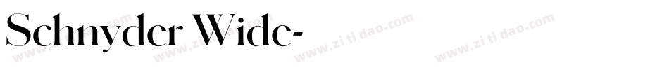 Schnyder Wide字体转换
